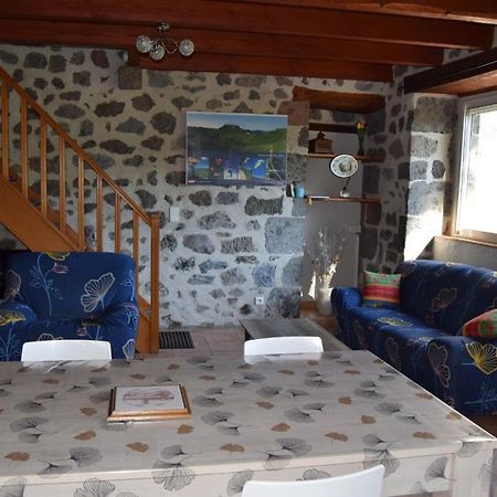 Gite 4 Personnes Dans Le Cantal Animaux Bienvenus Lascelle Exteriér fotografie