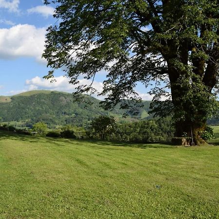 Gite 4 Personnes Dans Le Cantal Animaux Bienvenus Lascelle Exteriér fotografie