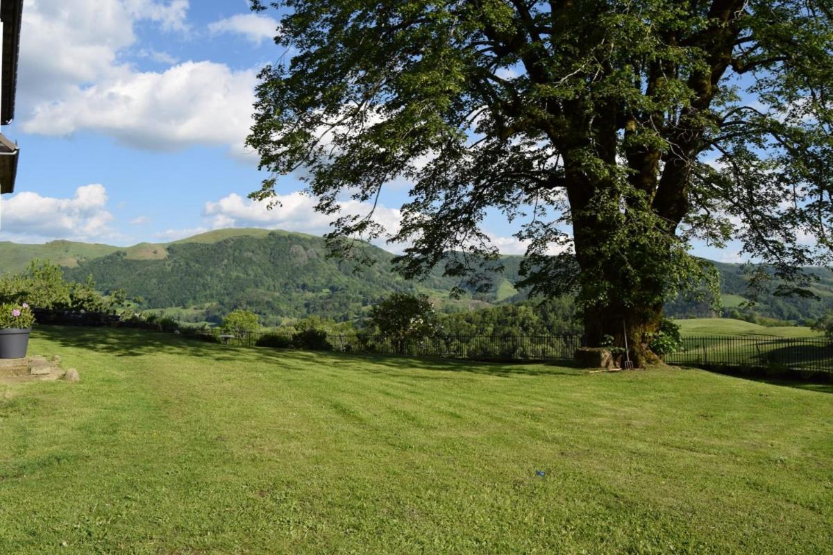 Gite 4 Personnes Dans Le Cantal Animaux Bienvenus Lascelle Exteriér fotografie
