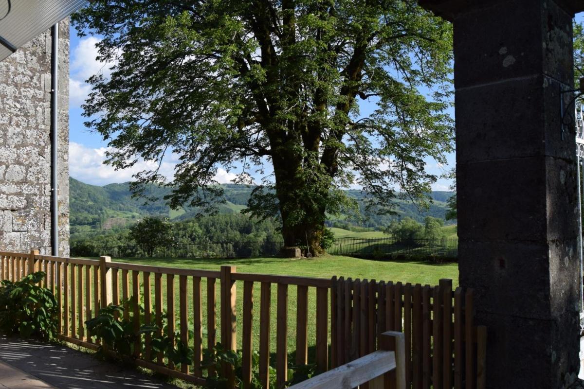 Gite 4 Personnes Dans Le Cantal Animaux Bienvenus Lascelle Exteriér fotografie